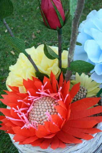 Blume 4