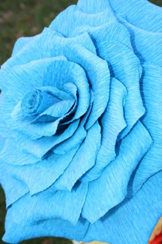 Rose aus Krepppapier