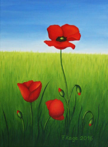 Mohn