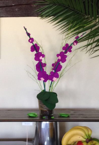 Orchidee