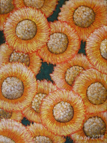 Sonnenblumen